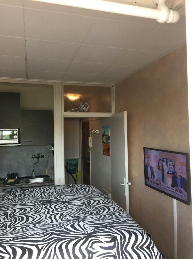 Frejus Studio Kültér fotó